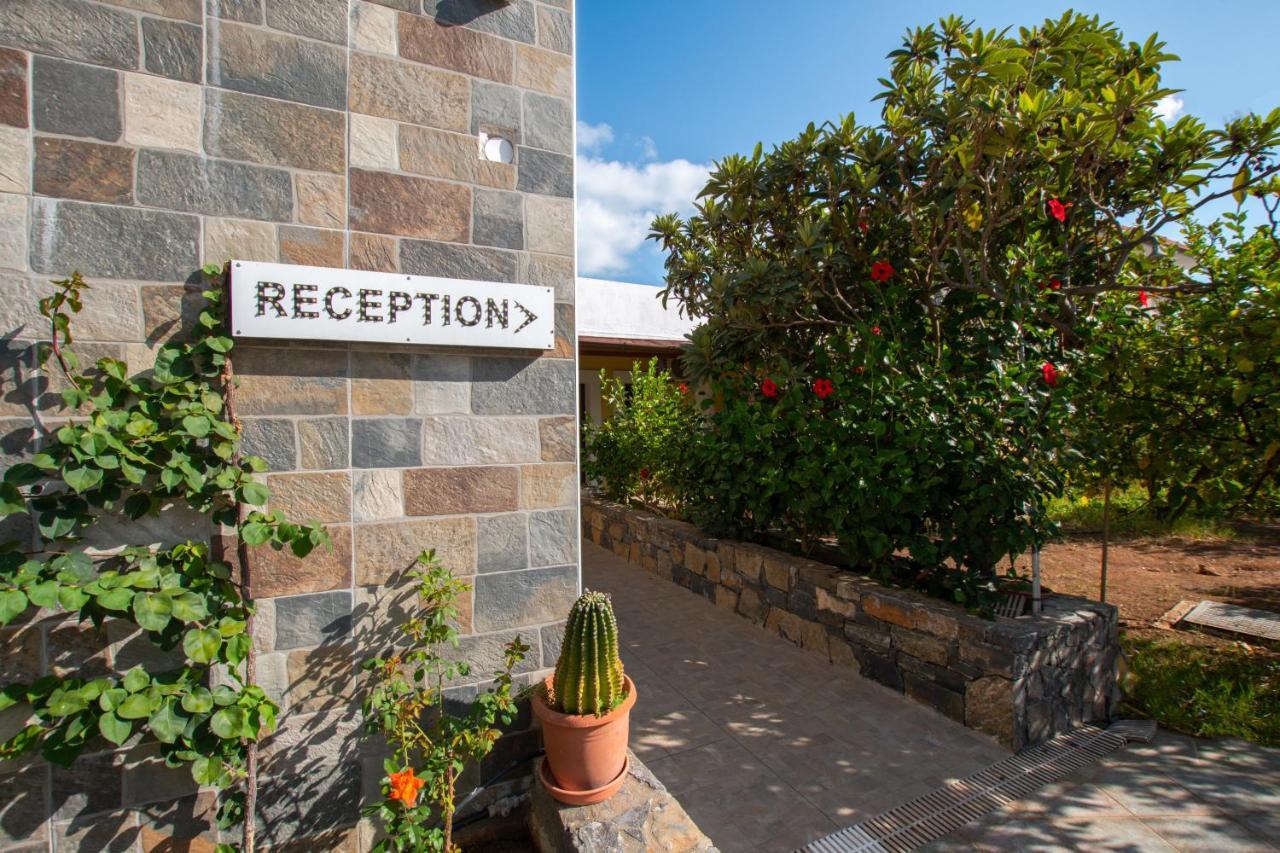 Villa Medusa Херсонисос Екстериор снимка